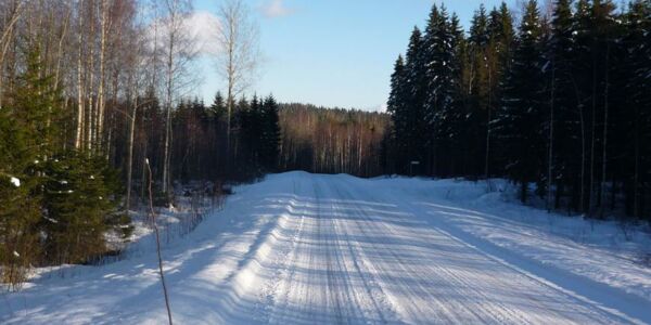 Verschneite Strasse im Wald